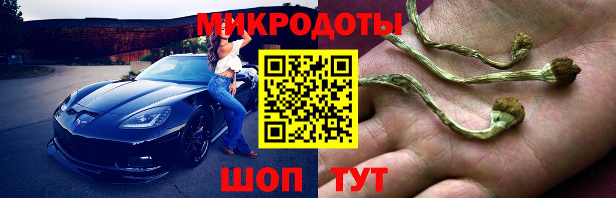 Псков  Галлюциногенные грибы Psilocybe  Вход с VPN 